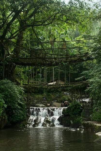 Бесплатное фото Удивительный снимок водопада в окружении красивой природы на переднем плане старого моста