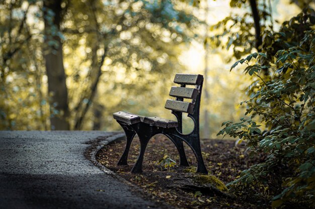 Amazing shot of a wooden bench in an autumnal park