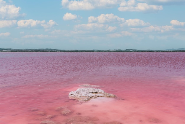 Удивительный вид на розовое море