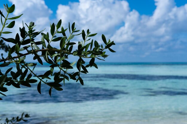 Удивительные виды на голубой океан Мальдивы