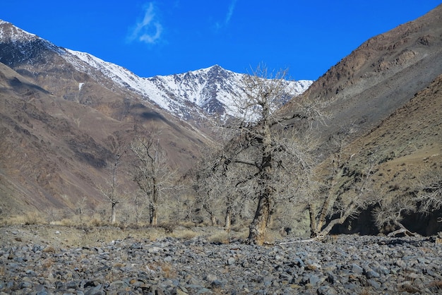 Amazing winter landscape in Mongolia Colorful scene in the mountains Tsagaan Shuvuut National Park 