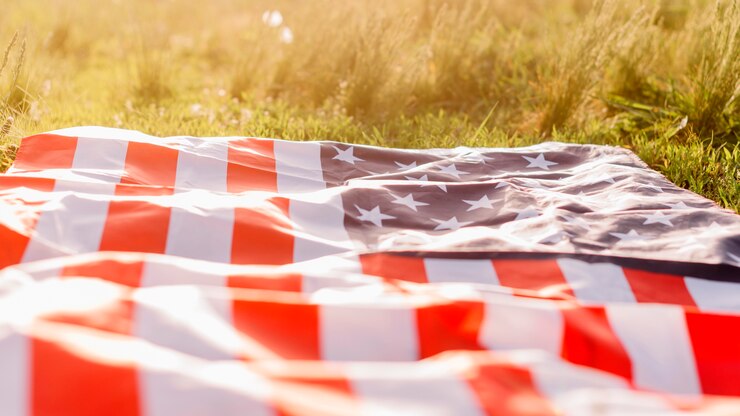 Free Photo american flag on grass