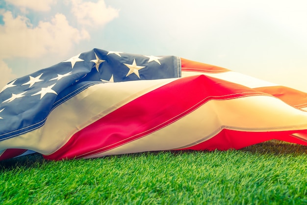 푸른 잔디에 미국 국기 (필터링 된 이미지 처리 빈티지