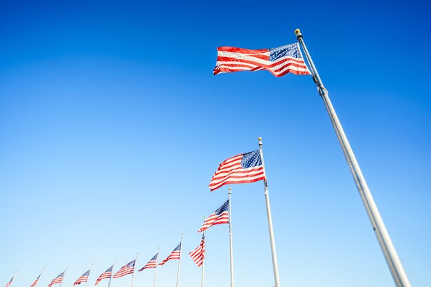 American flags on flagpoles on blue sky