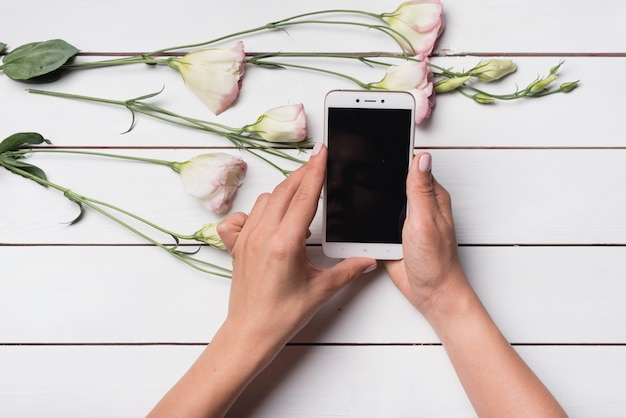 An overhead view of a person using cell phone with eustoma flowers on wooden desk