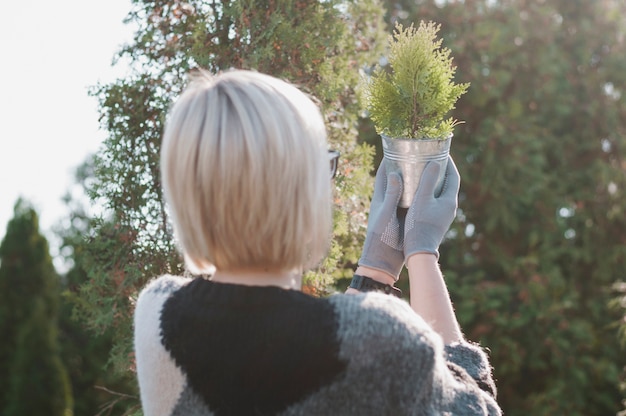 Analyzing plant