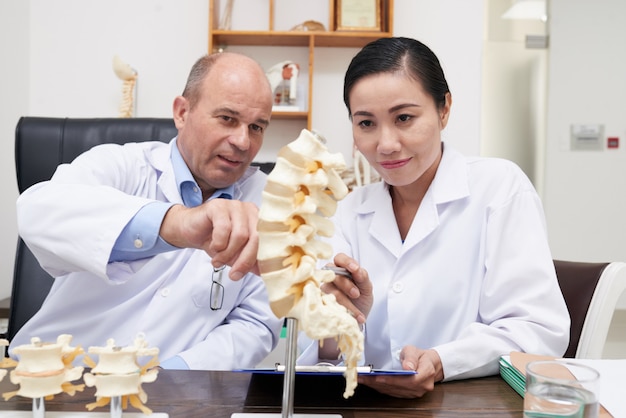 脊椎構造の分析