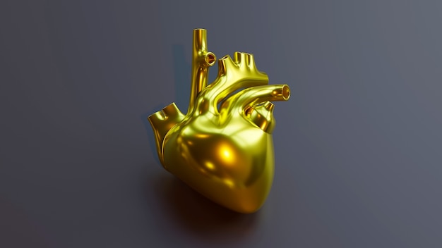 Foto gratuita vista dall'alto del cuore d'oro anatomico