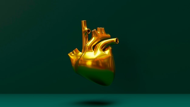 Free photo anatomical heart with green background