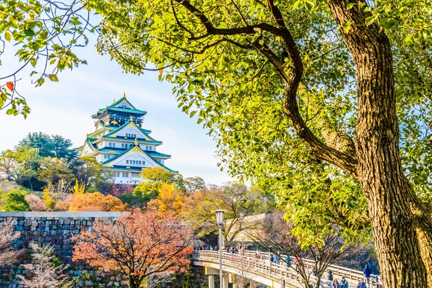 自然に囲まれた古代の建物