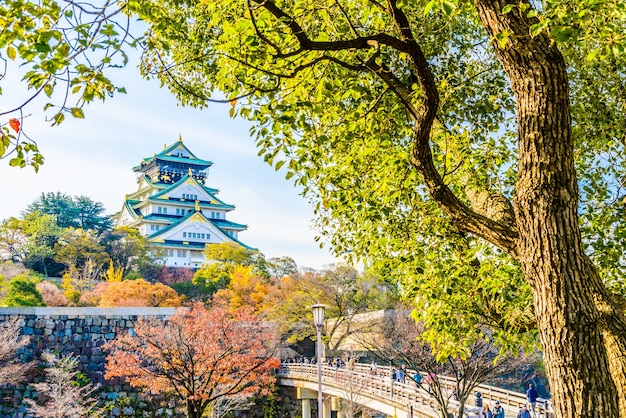 自然に囲まれた古代の建物