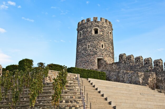 조지아의 맑은 하늘을 만지는 고대 역사적인 타워