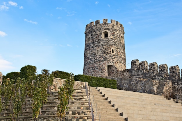 Древняя историческая башня, касающаяся чистого неба в Грузии