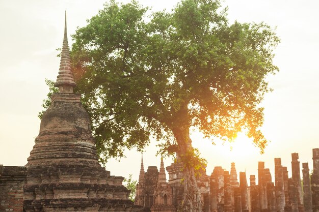 Древняя пагода в историческом парке Sukhothai