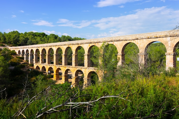 ancient roman aqueduct in summer forest. Tarragona,