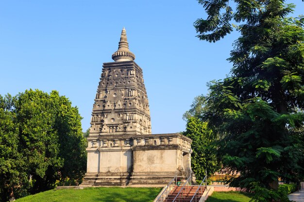 Animesa Locana 마하보디 사원 bodh gaya India에서 눈을 떼지 않고 응시하는 장소