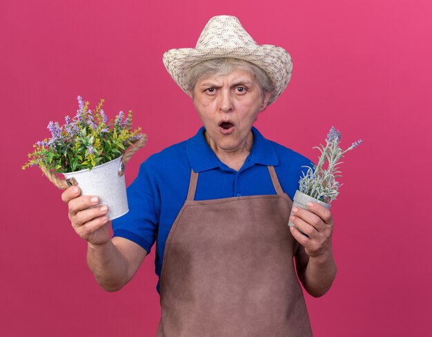 コピースペースとピンクの壁に分離された植木鉢を保持しているガーデニング帽子をかぶってイライラする年配の女性の庭師