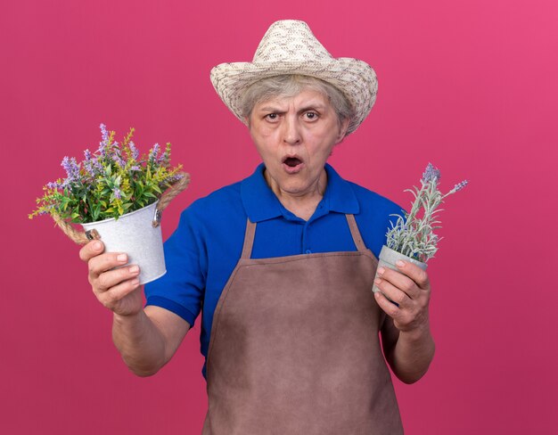 Annoyed elderly female gardener wearing gardening hat holding flowerpots isolated on pink wall with copy space