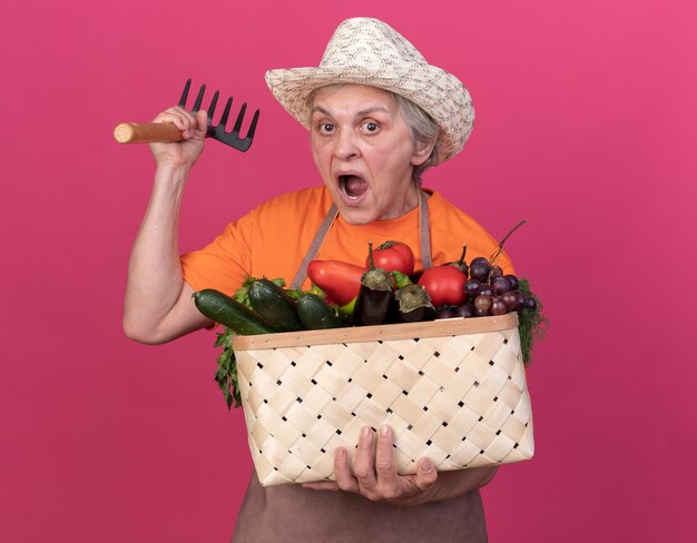 Annoyed elderly female gardener wearing gardening hat holding vegetable basket and rake isolated on pink wall with copy space
