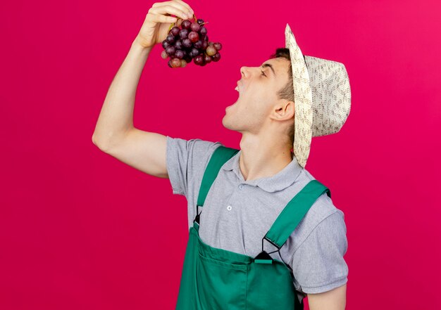 Annoyed young male gardener wearing gardening hat stands sideways holding and pretending to bite grapes 