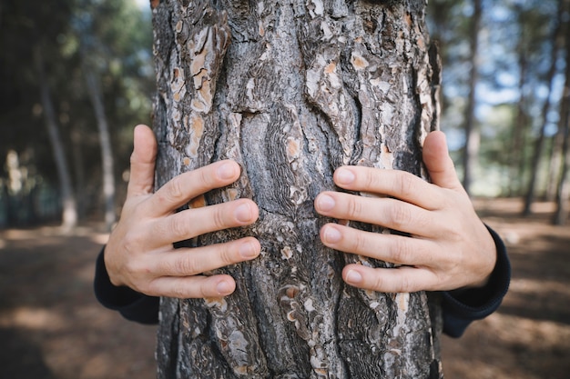 Anonymous person embracing tree