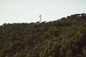 Free photo antenna above the forest mountain