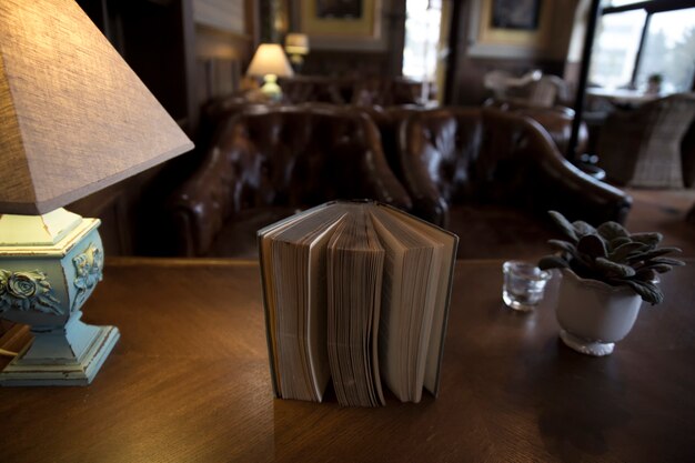 Antique book in stylish room