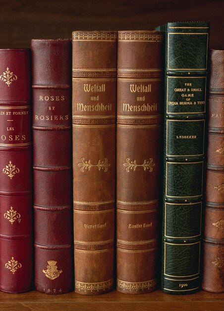 Названия антикварных книг из нашей собственной оригинальной библиотеки общедоступной библиотеки.