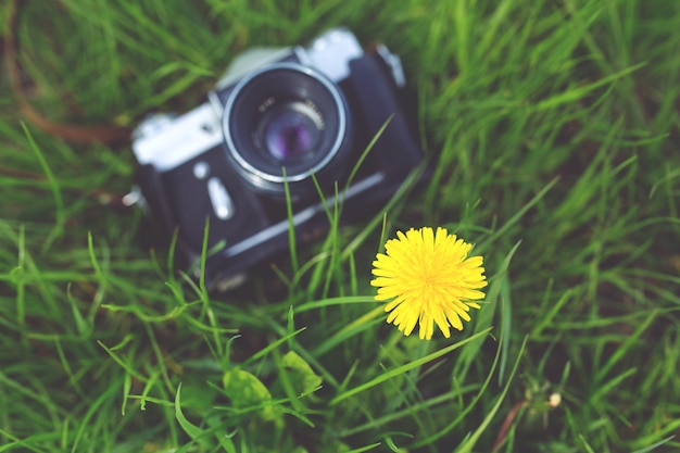 Foto gratuita macchina fotografica antica nell'erba