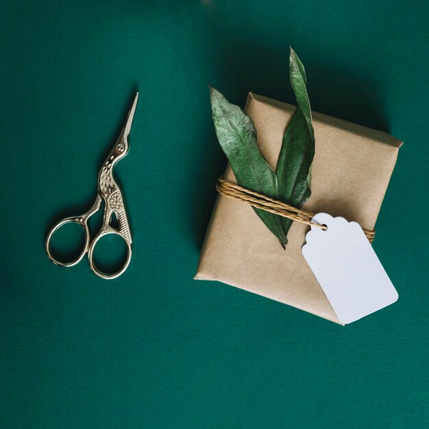 Antique silver scissors; wrapped present with leaves and tag on green background