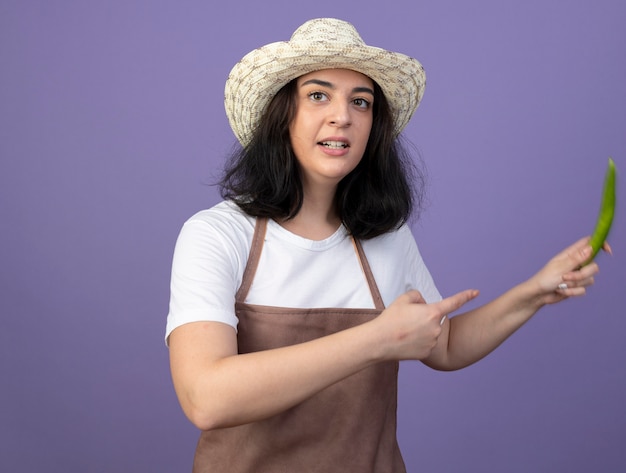 Anxious young brunette female gardener in uniform wearing gardening hat holds and points at hot pepper isolated on purple wall
