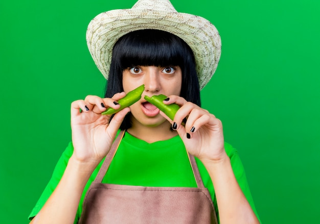 Anxious young female gardener in uniform wearing gardening hat holds broken pepper