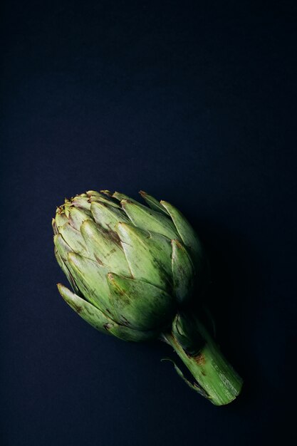 appetizing vegetable artichoke