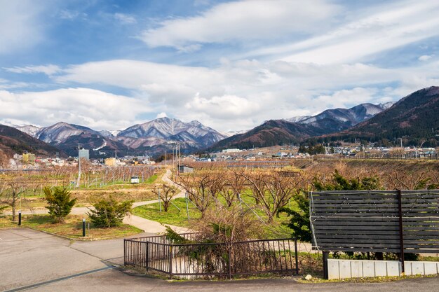 丽江大学