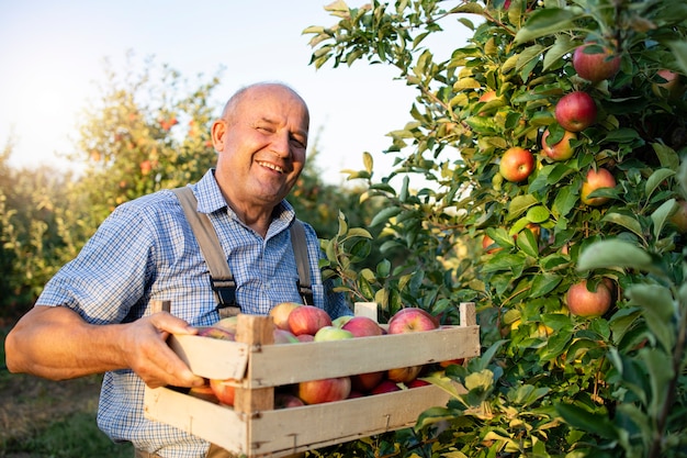과일 과수원에서 사과 농부