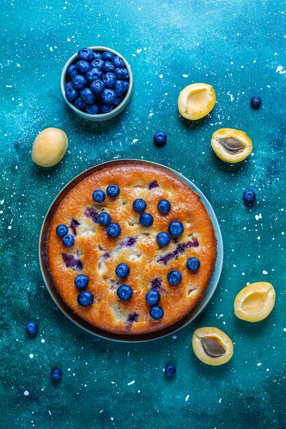 Apricot and blueberry cake with fresh blueberries and apricot fruits.