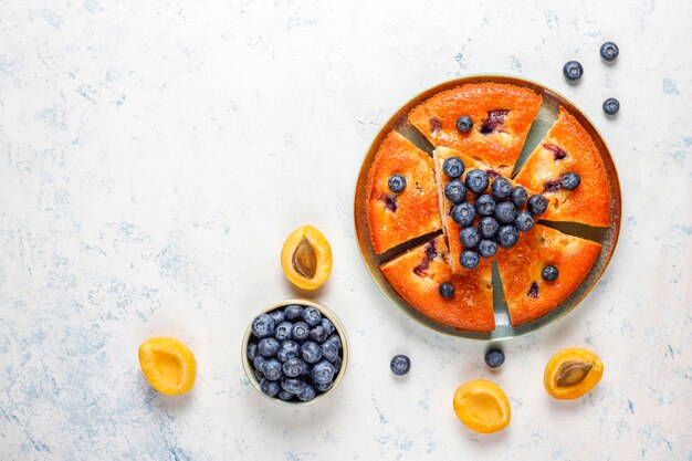 Apricot and blueberry cake with fresh blueberries and apricot fruits.