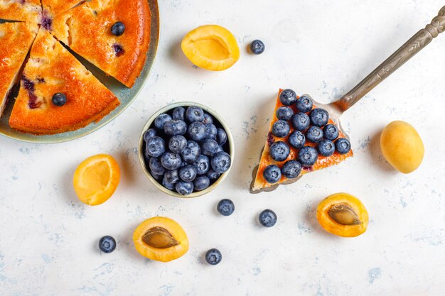 Apricot and blueberry cake with fresh blueberries and apricot fruits.