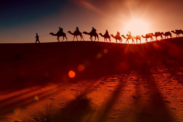 Arab people with camel caravan