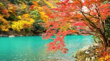 無料写真 京都の川沿いの秋の季節の嵐山。