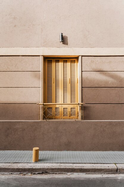 Architectural building door in the city