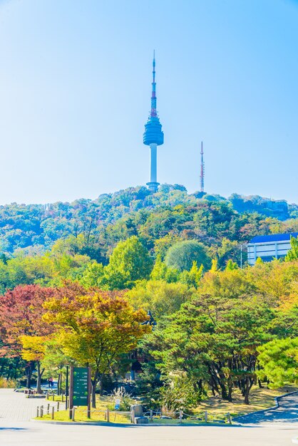 architecture cityscape maple autumn modern