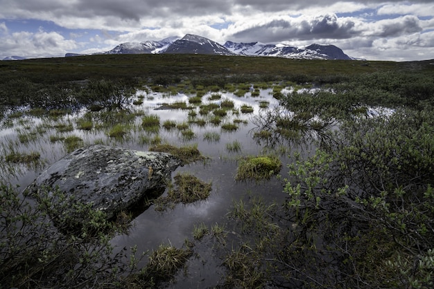 Arctic Circle