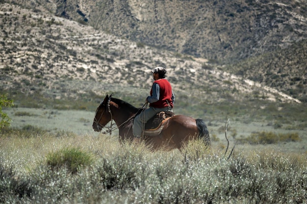Argentine gaucho on horseback, in patagonia.