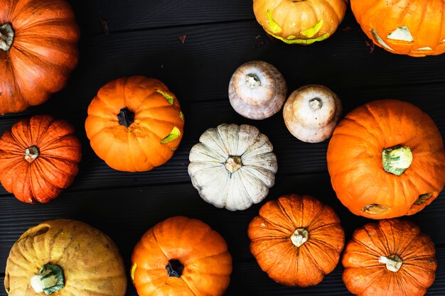 Arial view of Halloween pumpkins