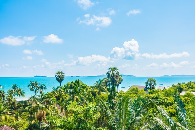 Free Photo arial view of sea and beach