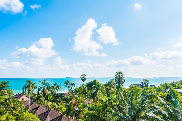 Arial view of sea and beach