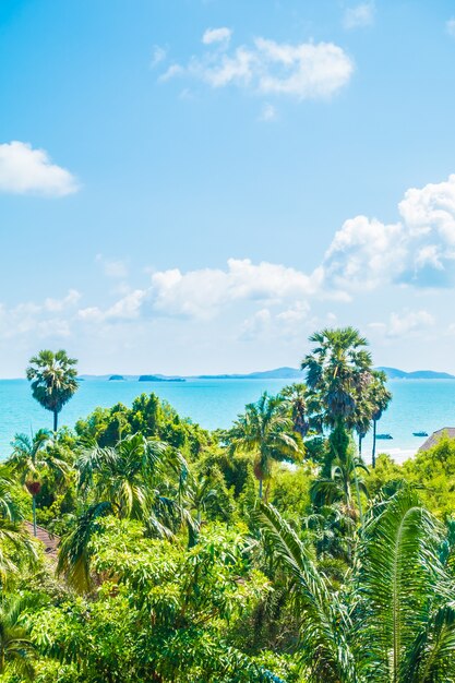 Arial view of sea and beach