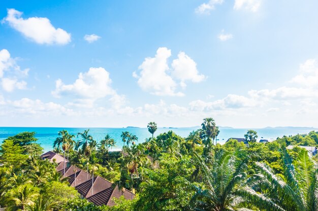 Free Photo arial view of sea and beach