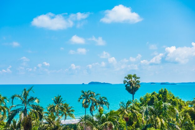 Arial view of sea and beach